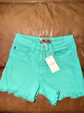 Judy Blue Mint Teal Frayed Hem Women's Jean Shorts
